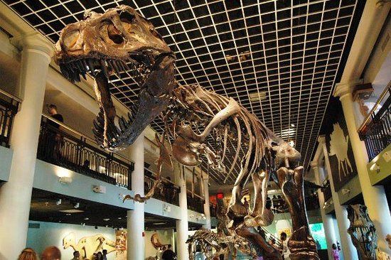 Academie voor Natuurwetenschappen